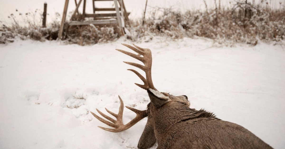 4 Things to Keep in Mind for Late-Season Deer Hunting